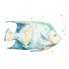 Pescado Azul Square by Patricia Pinto (12 x 12)