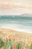 Around the Point II by Danhui Nai (15 x 24)
