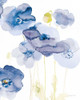 Delicate Poppies II Blue by Danhui Nai (18 x 24)