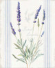 Floursack Lavender I by Danhui Nai (18 x 24)