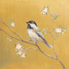 Black Capped Chickadee on Gold by Danhui Nai (12 x 12)