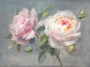Lovely Roses by Danhui Nai (24 x 18)