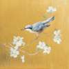 Nuthatch on Gold by Danhui Nai (12 x 12)