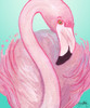 Flamingo Portrait by Elizabeth Medley (18 x 24)