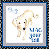 A Dogs Life IV by Andi Metz (24 x 24)