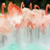 Flamingo Dance by Dan Meneely (24 x 24)