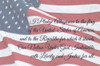 I Pledge Allegiance I by Lori Deiter (24 x 16)