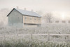 Dewy Country Morning by Lori Deiter (24 x 15)