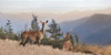 Cascade Mountain Deer by Lori Deiter (20 x 10)