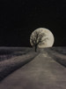 Moonlit Country Road by Lori Deiter (18 x 24)