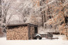Firewood Shed by Lori Deiter (24 x 16)