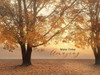 Make Today Amazing by Lori Deiter (24 x 18)