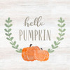 Hello Pumpkin by CAD Designs (12 x 12)