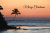 Palm Tree Christmas by Lori Deiter (24 x 16)