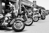 Bike Week by Lori Deiter (24 x 18)