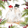 Holiday Owls by Lanie Loreth (24 x 24)