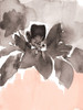 Pink Modern Fleur I by Lanie Loreth (18 x 24)
