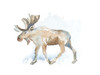 Watercolor Moose by Lanie Loreth (24 x 18)