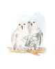 Snowy Owls by Lanie Loreth (18 x 24)