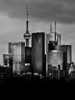 Toronto Skyline No 2 by Brian Carson (18 x 24)