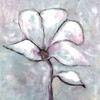 Cherished Bloom 2 by Doris Charest (24 x 24)