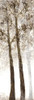 Wooded Grove 2 by Doris Charest (8 x 24)