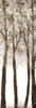 Wooded Grove 1 by Doris Charest (8 x 24)