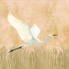Egret Alighting II by Kathrine Lovell (12 x 12)