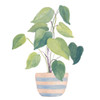 Mother-In-Law Plant In Striped Pot by Lanie Loreth (24 x 24)