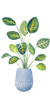 Croton In Blue Pot by Lanie Loreth (24 x 11)