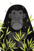 Gorilla by Stephanie Marrott (15 x 24)