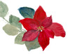 Bright Poinsettia II by Lanie Loreth (24 x 18)