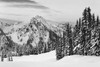 Tatoosh Range BW by Alan Majchrowicz (24 x 18)