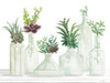Succulent Bottles by Cindy Jacobs (24 x 18)