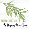 Merry Christmas and Happy New Year by Cindy Jacobs (12 x 12)