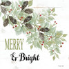Merry And Bright by Cindy Jacobs (12 x 12)