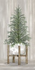 Potted Tree II by Cindy Jacobs (12 x 24)