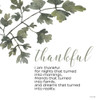 Thankful by Cindy Jacobs (12 x 12)