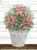 Pot of Poinsettias by Cindy Jacobs (18 x 24)