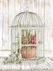 Caged Beauty II by Cindy Jacobs (18 x 24)