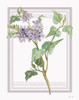 Lilacs V by Cindy Jacobs (18 x 24)