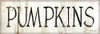 Pumpkins by Cindy Jacobs (24 x 6)