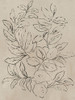 Outlined Leaves I by Asia Jensen (18 x 24)