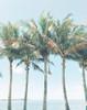 Island of Palms by Olivia Joy (18 x 24)