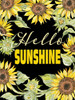 Hello Sunshine by Cindy Jacobs (18 x 24) Hello Sunshine by Cindy Jacobs (18 x 24)