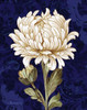 Damask Chrysanthemum by Pamela Gladding (18 x 24)