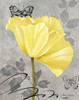 Gray and Yellow Poppies I by Pamela Gladding (18 x 24)