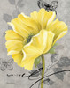 Gray and Yellow Poppies II by Pamela Gladding (18 x 24)
