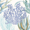 Soft Shores VIII by Beth Grove (24 x 24)