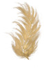 Gold Feather I by L. Hewitt (18 x 24)